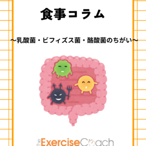 乳酸菌・ビフィズス菌・酪酸菌のちがい
