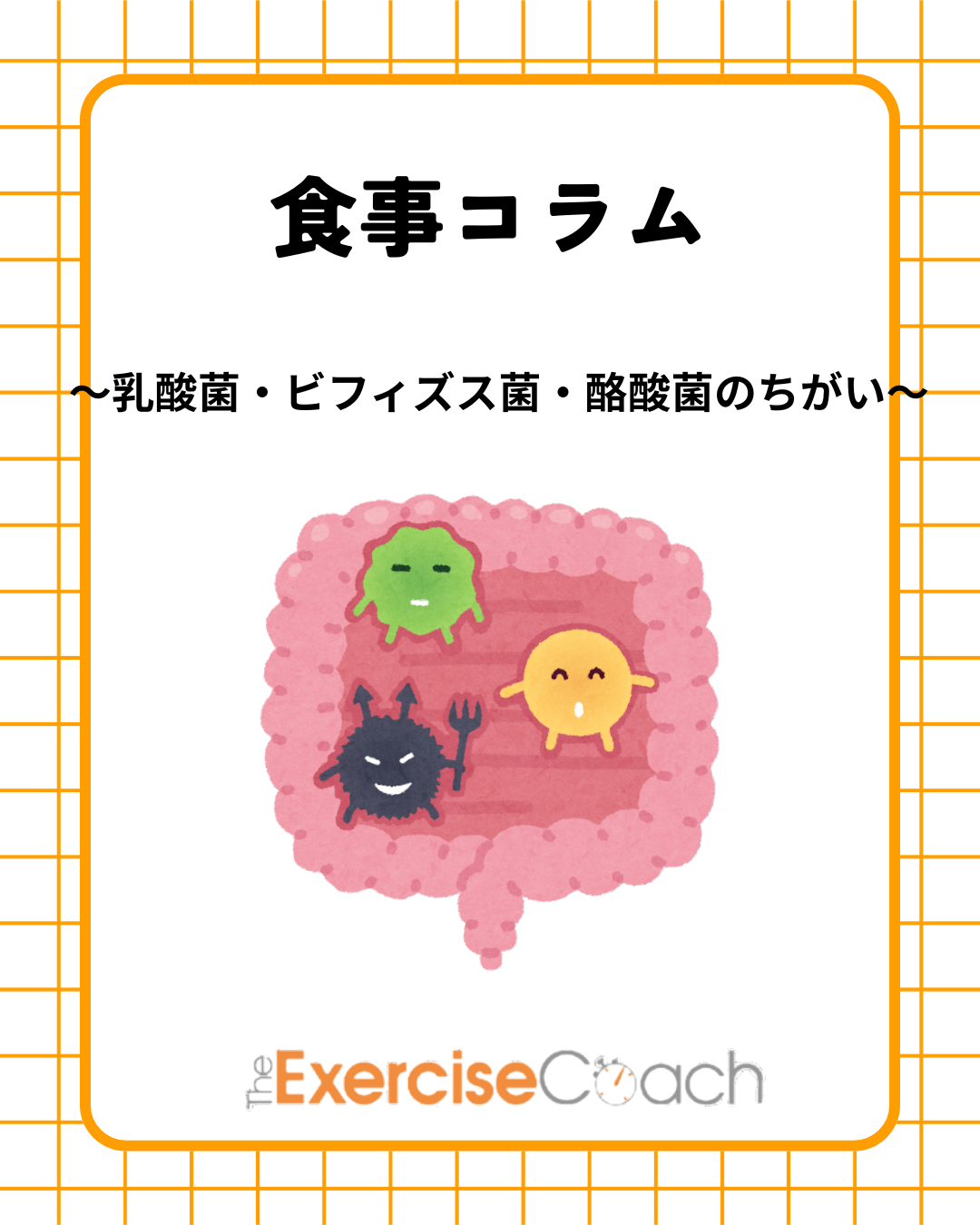 乳酸菌・ビフィズス菌・酪酸菌のちがい