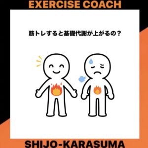 筋トレすると基礎代謝は上がるの？