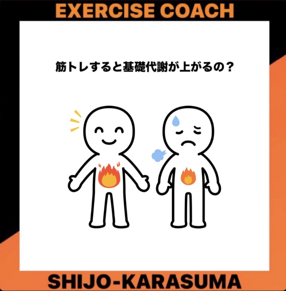 筋トレすると基礎代謝は上がるの？