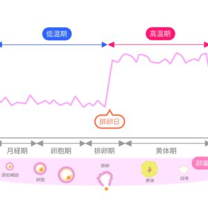生理前に体重が増えるのはなぜ!?