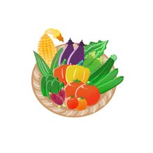 夏野菜を食べる人ほど夏を楽しめる理由