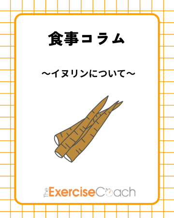 🌿【イヌリンとは？】🌿