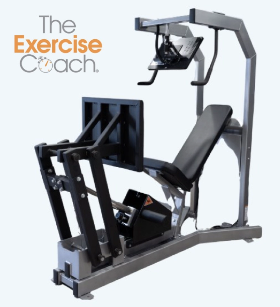 研究代表者:酒井 良忠