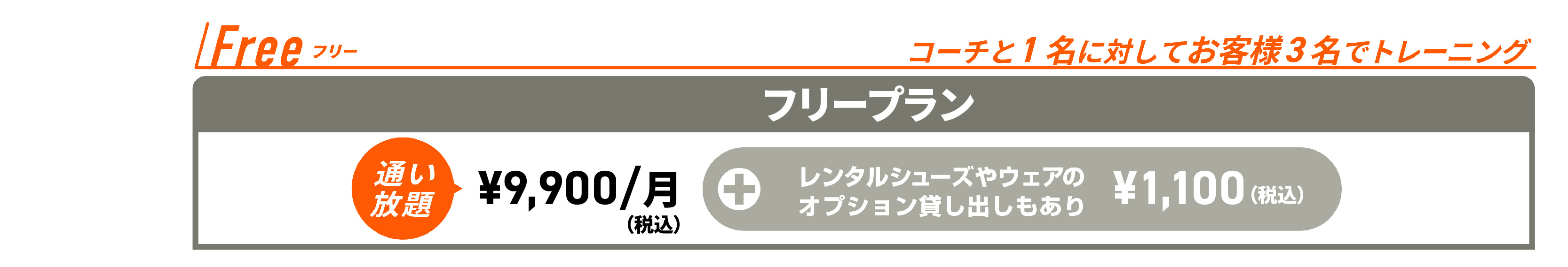 料金プラン／フリープラン9900