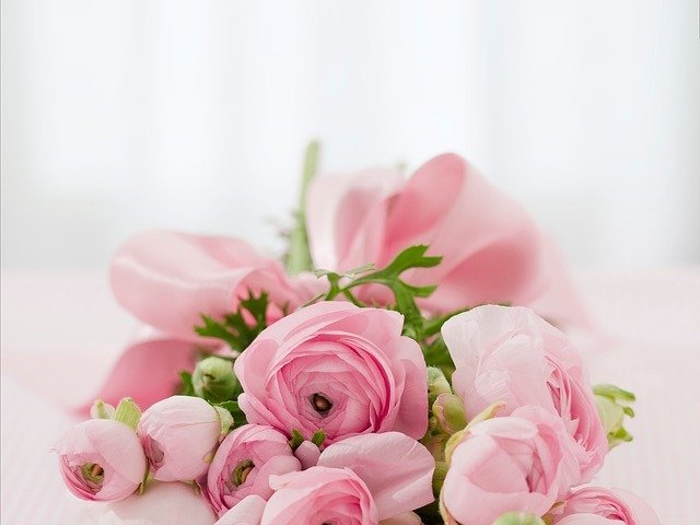 白い布の上のピンクの花々